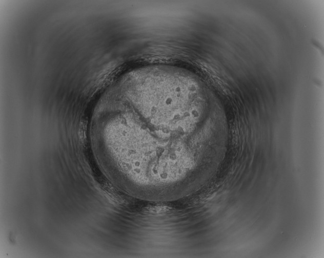 X0000091330695200708311437