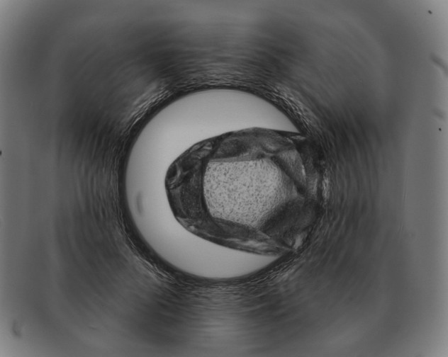 X0000091330696200708311437