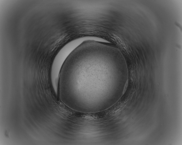 X0000091330697200708311437