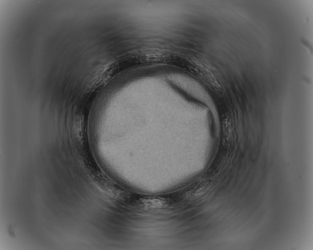 X0000091330698200708311437