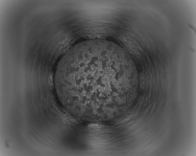 X0000091330699200708311437