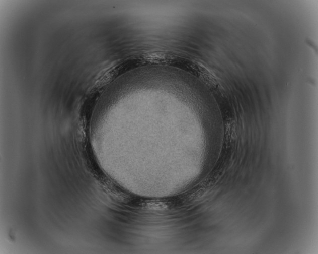 X0000091330702200708311437