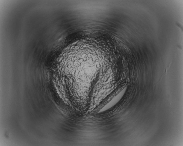 X0000091330703200708311437