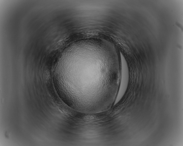 X0000091330704200708311437
