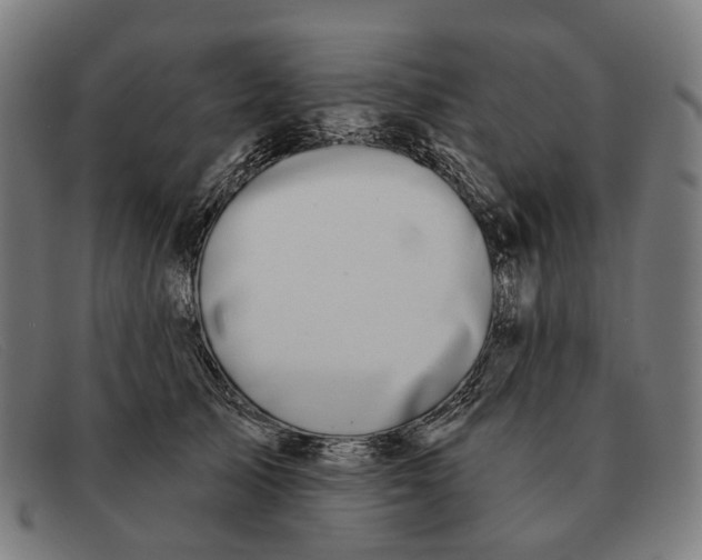 X0000091330705200708311437