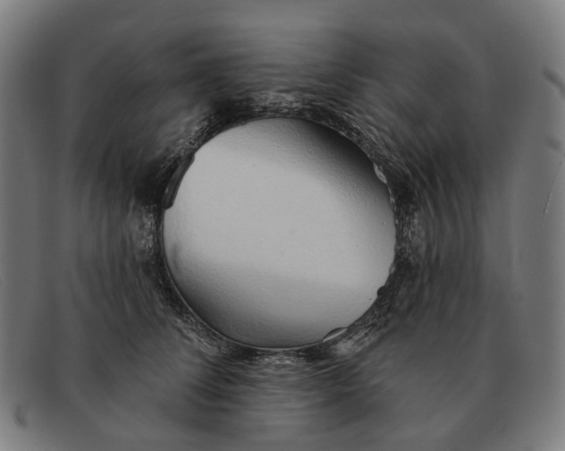 X0000091330708200708311437