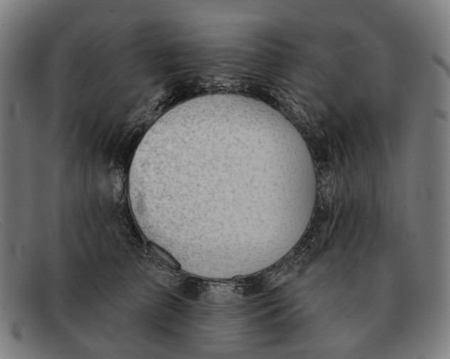 X0000091330709200708311437