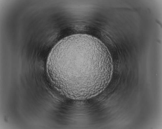 X0000091330710200708311437