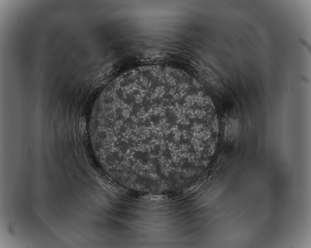 X0000091330711200708311437