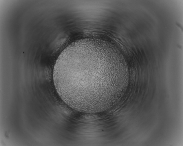X0000091330712200708311437