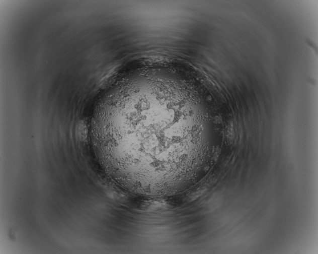 X0000091330715200708311437