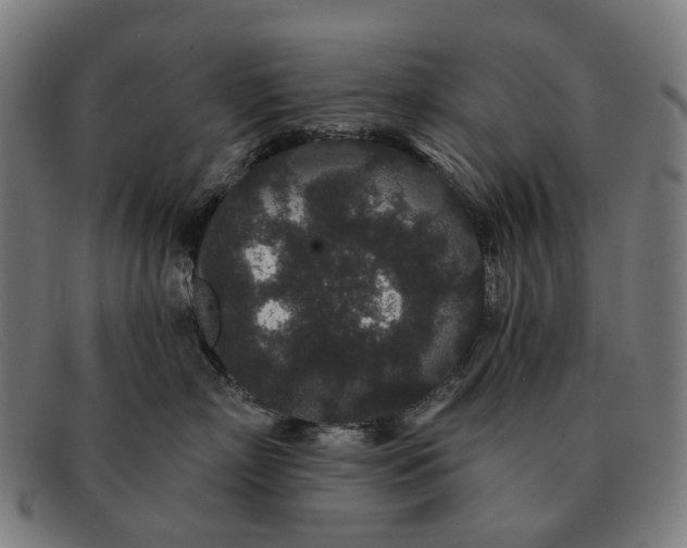 X0000091330718200708311437