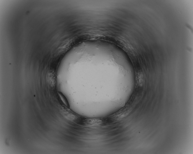 X0000091330719200708311437