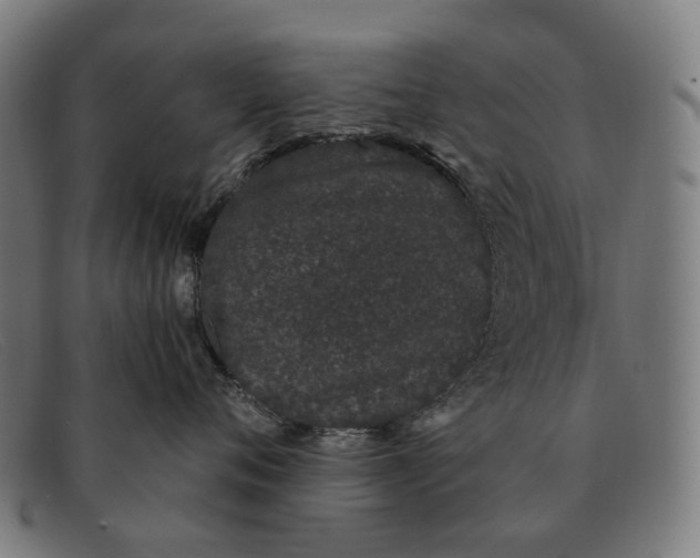 X0000091330720200708311437