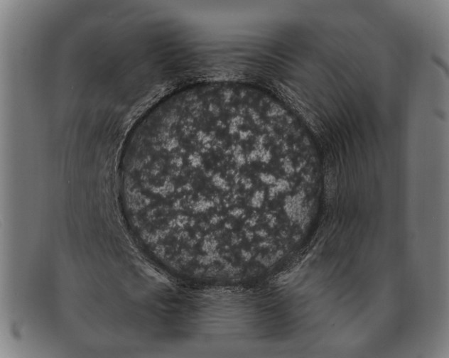 X0000091330721200708311436
