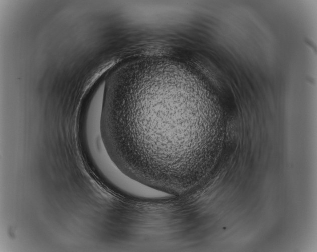 X0000091330722200708311436