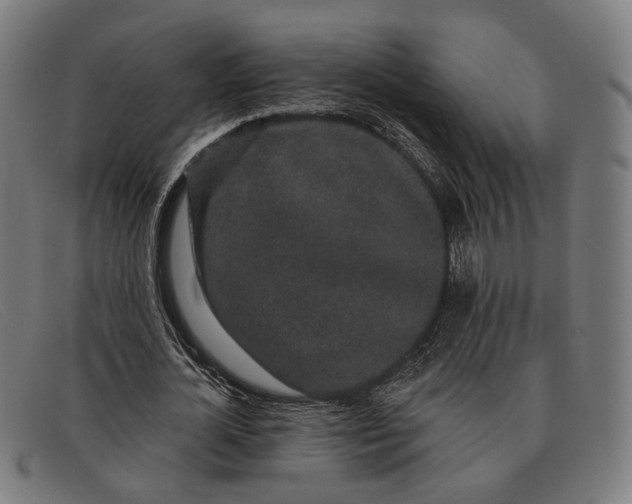X0000091330724200708311436