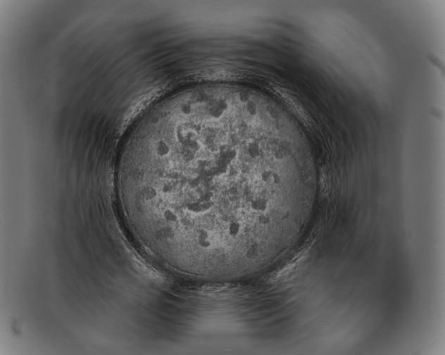 X0000091330725200708311436