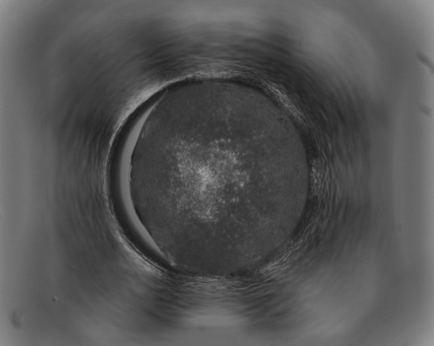 X0000091330726200708311436