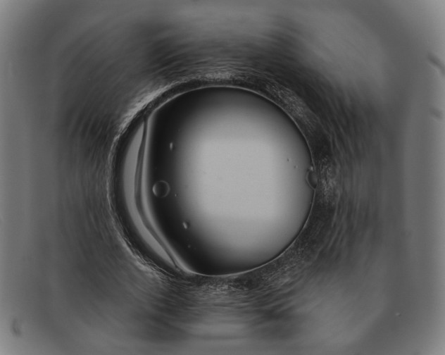 X0000091330728200708311436