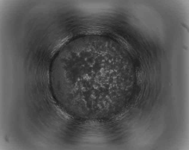 X0000091330729200708311436