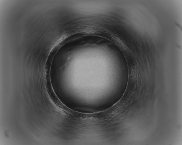 X0000091330730200708311436