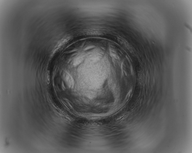 X0000091330731200708311436