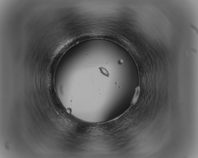 X0000091330732200708311436