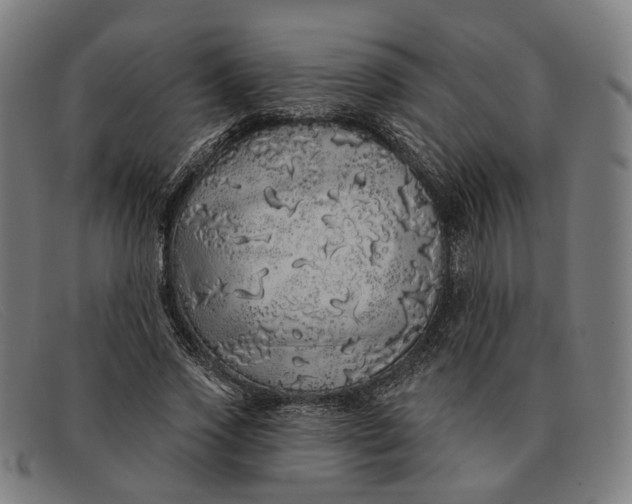 X0000091330733200708311436