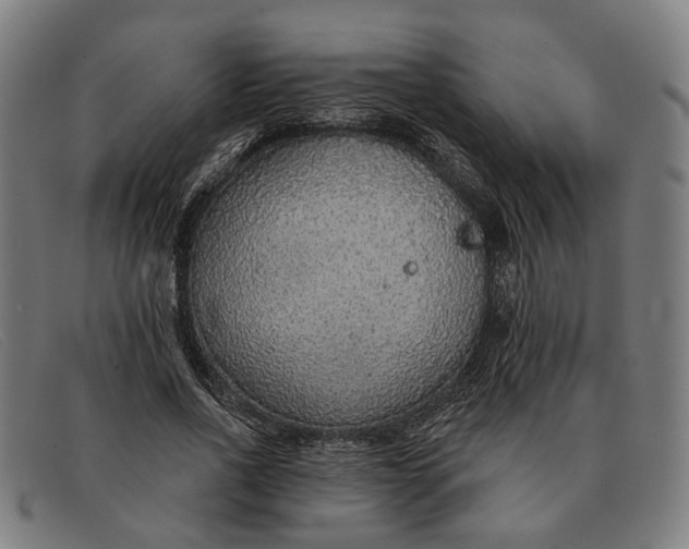 X0000091330734200708311436