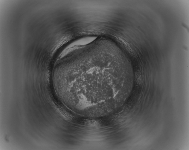X0000091330735200708311436