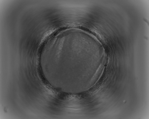X0000091330736200708311436
