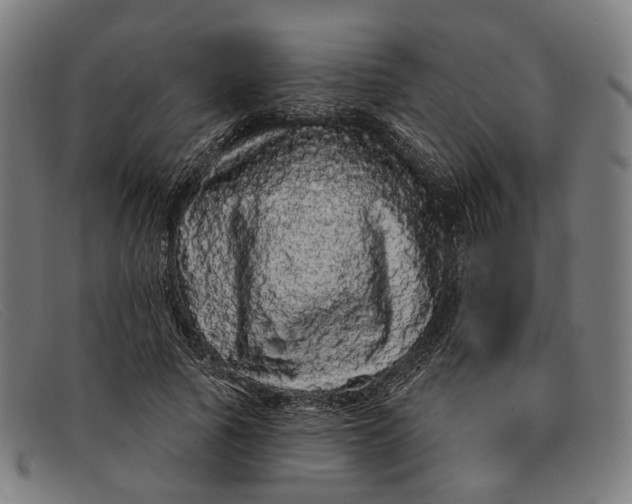 X0000091330737200708311436
