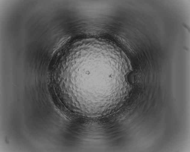 X0000091330738200708311436