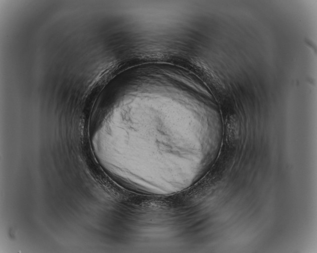 X0000091330739200708311436