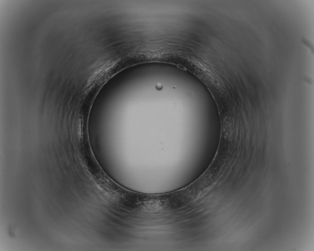 X0000091330740200708311436