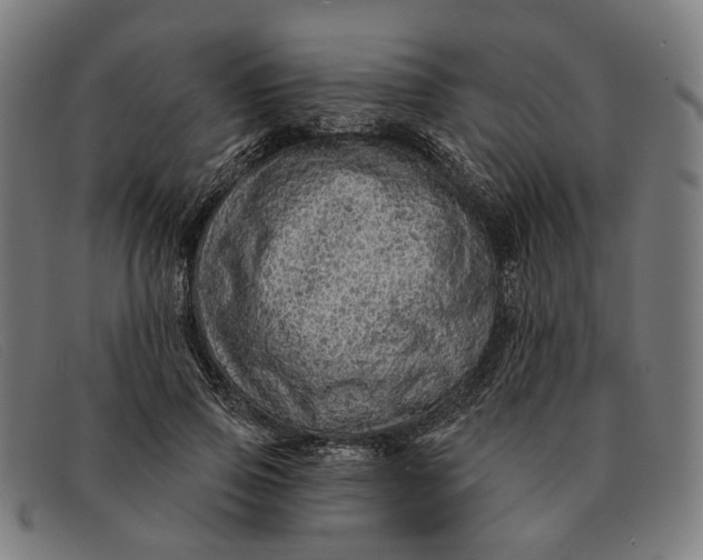 X0000091330741200708311436