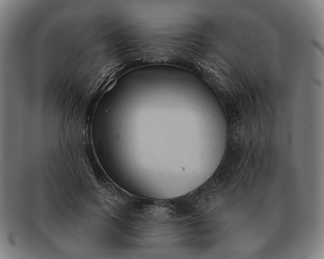 X0000091330743200708311436