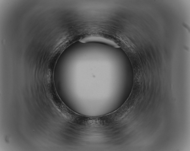 X0000091330744200708311436