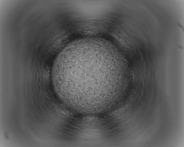 X0000091330745200708311436