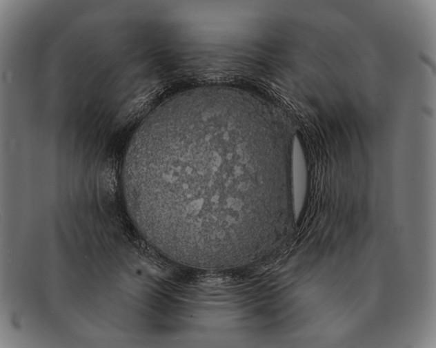 X0000091330746200708311436