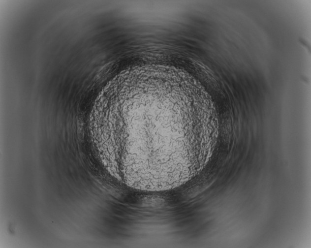 X0000091330749200708311436