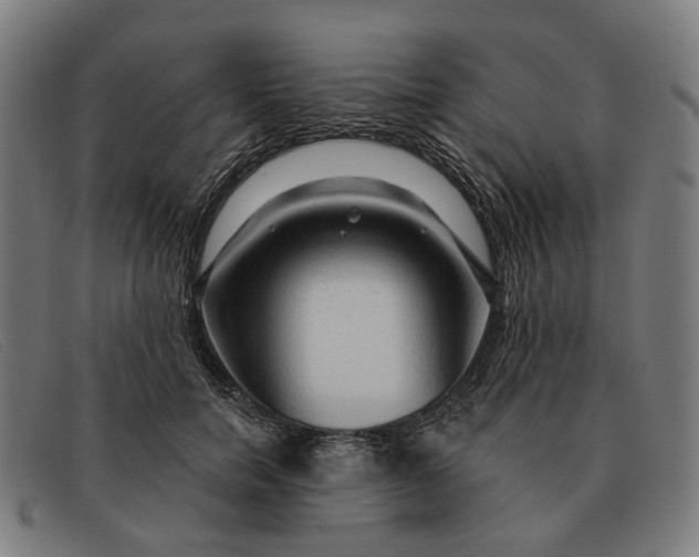 X0000091330750200708311436