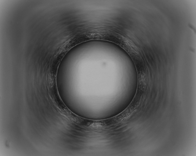 X0000091330751200708311436
