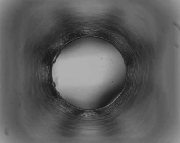 X0000091330752200708311436