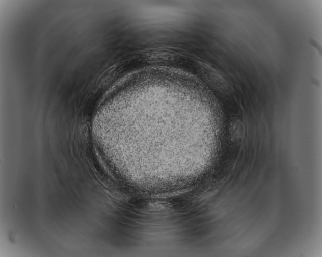 X0000091330753200708311436