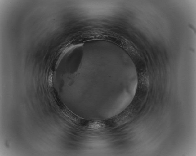 X0000091330754200708311436
