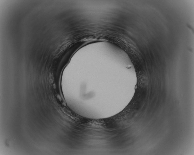 X0000091330756200708311436
