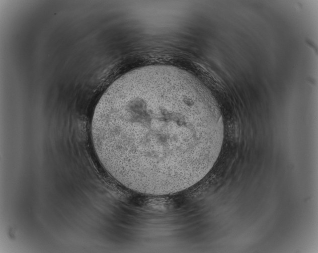 X0000091330757200708311436