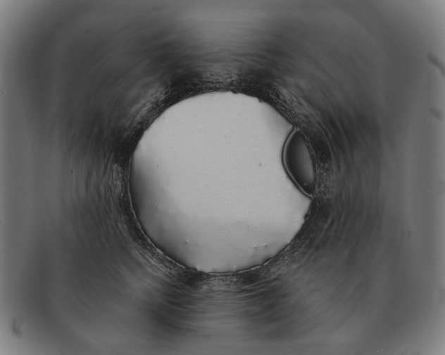 X0000091330758200708311436